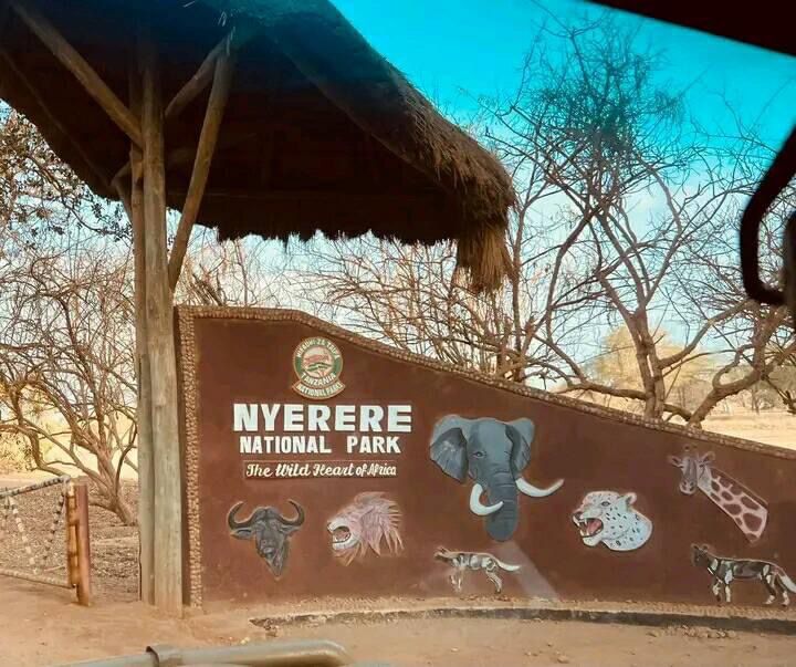 Nyerere